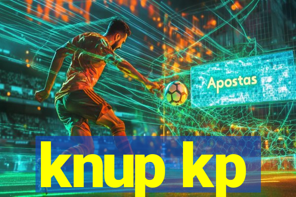 knup kp-t89 driver